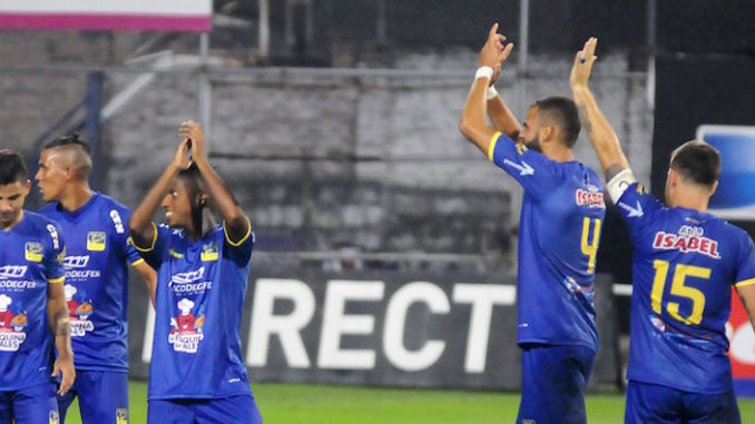 idv delfin
