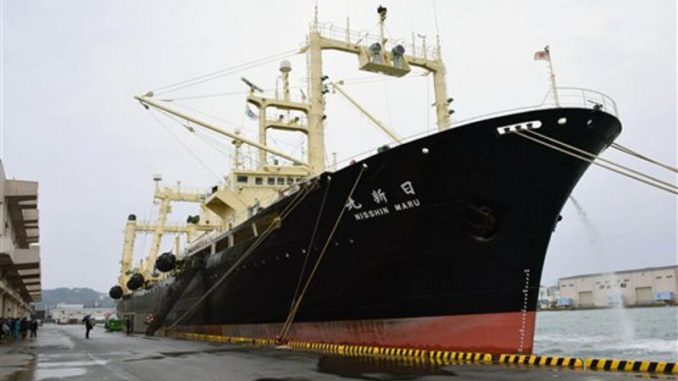 Japón cacería de ballenas Antártida