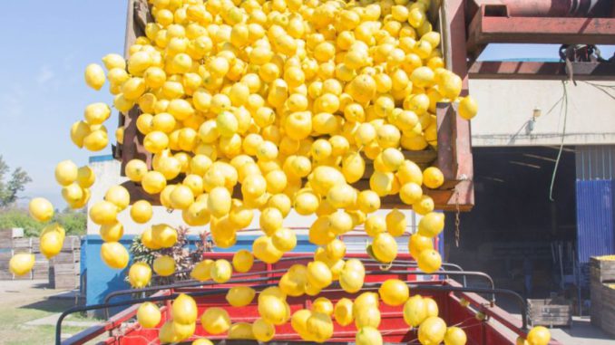 limones