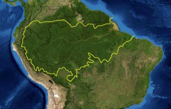 Amazon_rainforest
