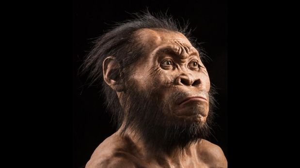Homo naledi