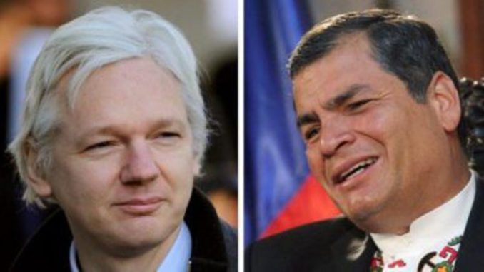assange correa