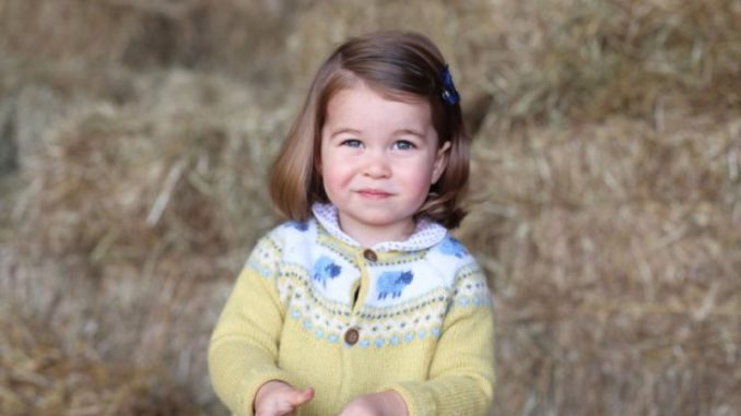 princess charlotte 2 años