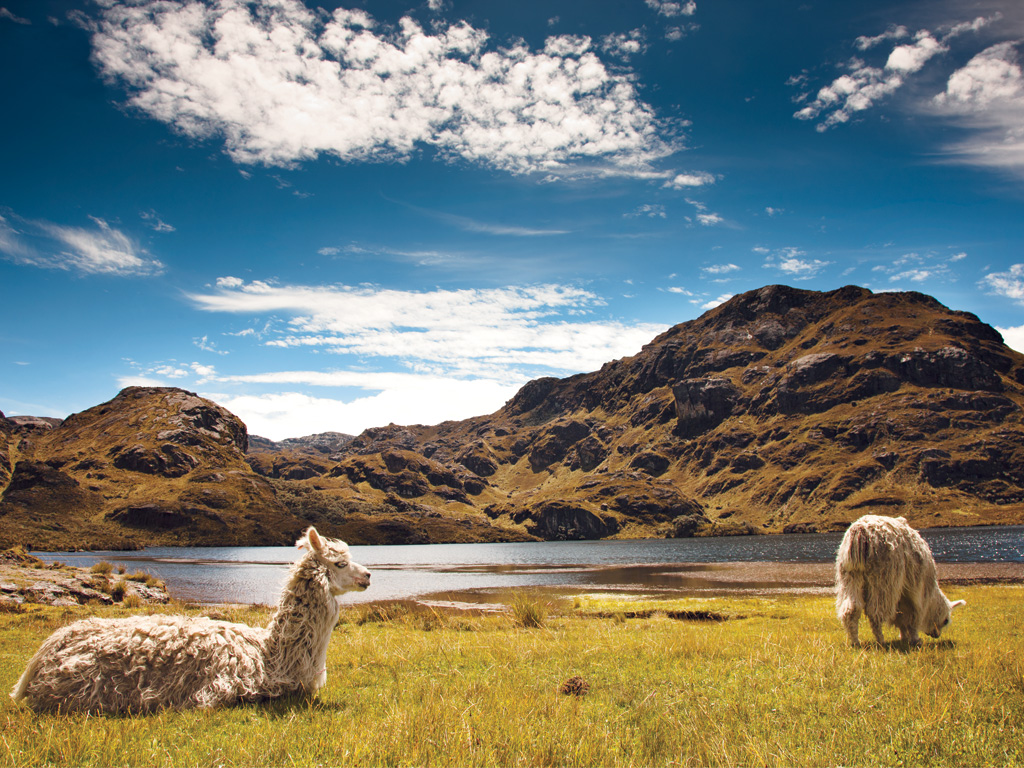 Unesco examinará 28 potenciales Reservas de la Biosfera, incluido Ecuador |  La República EC