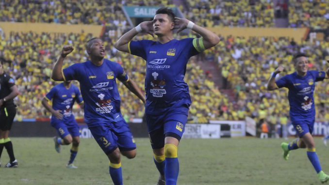 Garcés Delfín
