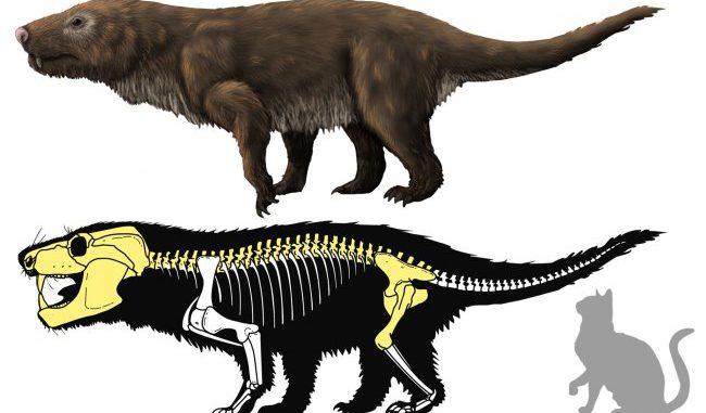 fósiles de reptiles mamiferoides