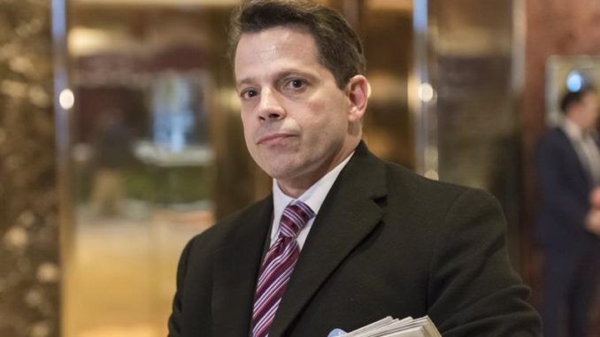 Anthony Scaramucci
