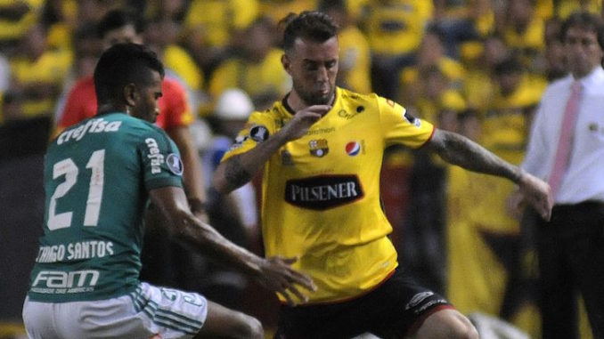 bsc palmeiras