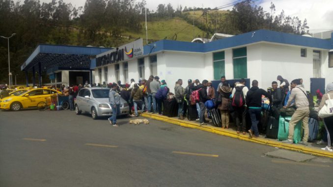 migracion
