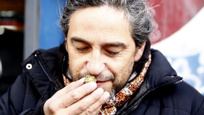 Uruguay comienza a vender marihuana de uso recreativo en las farmacias