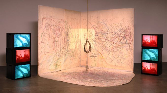 Carolee Schneemann KINETIC PAINTING