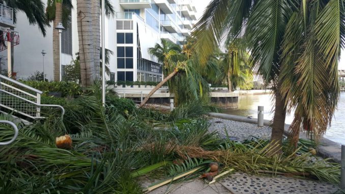 Irma