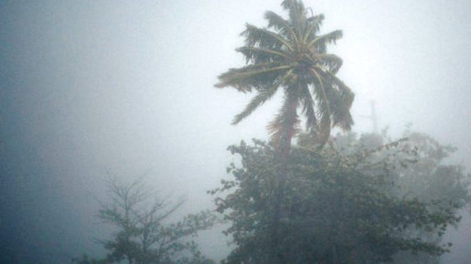 Irma