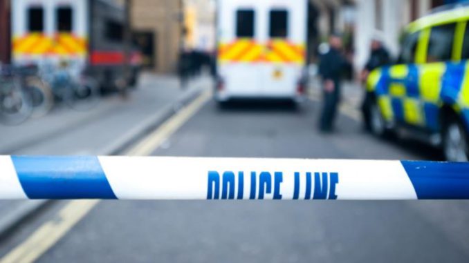asesino a su dueño