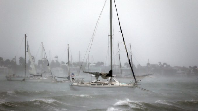 irma dos categoría