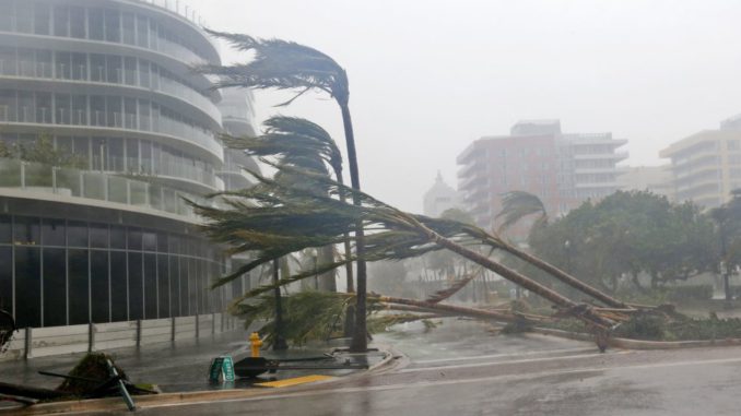 irma miami beach