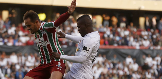 ldu flu