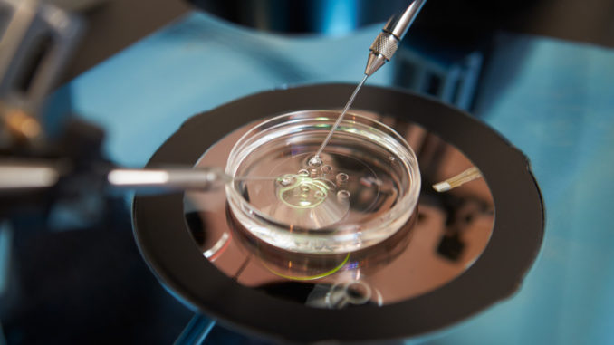 Fecundación In Vitro