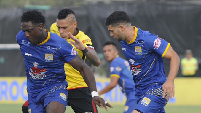 tuca alvez