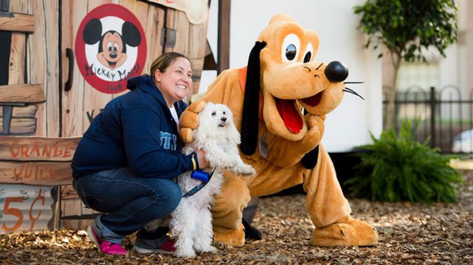 hoteles disney mascotas