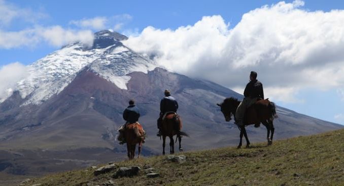 parque nacional coto