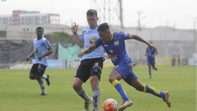 delfin vs macara