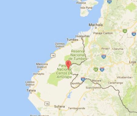 loja dos