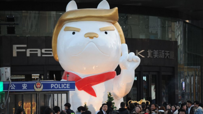 donald perro chino