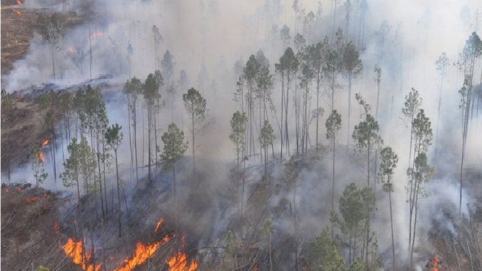 Fuego A(1)
