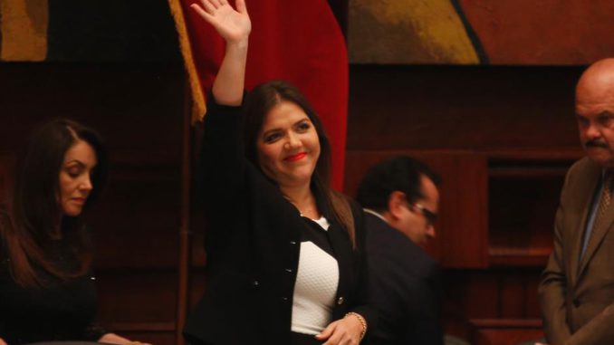 Vicuña Vicepresidenta