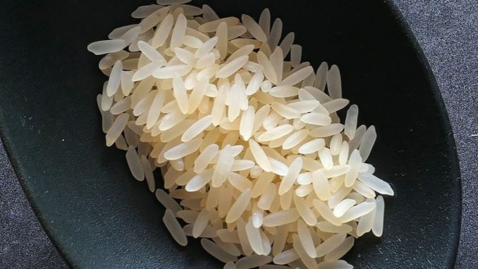 arroz plastico