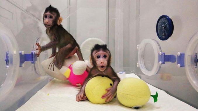 monos
