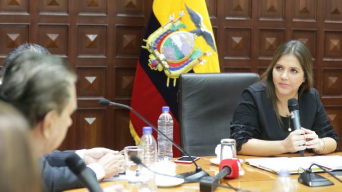 vicuña cidh