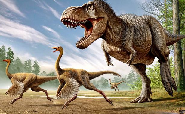 Tyrannosaurus-Rex