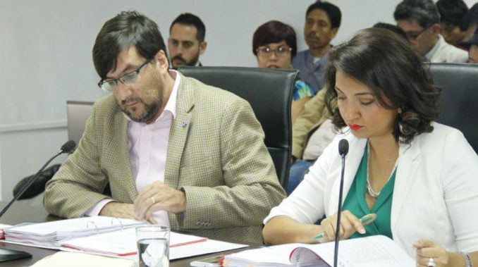 consejo de participacion
