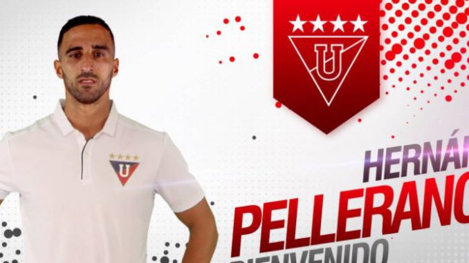 pellerano