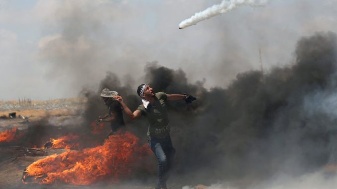 Palestino