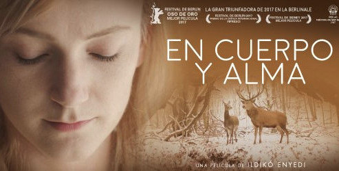 clases cine mayo