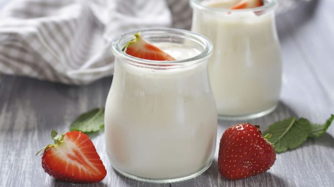 yogurt-copia
