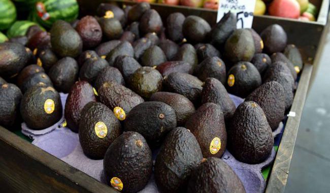 aguacate