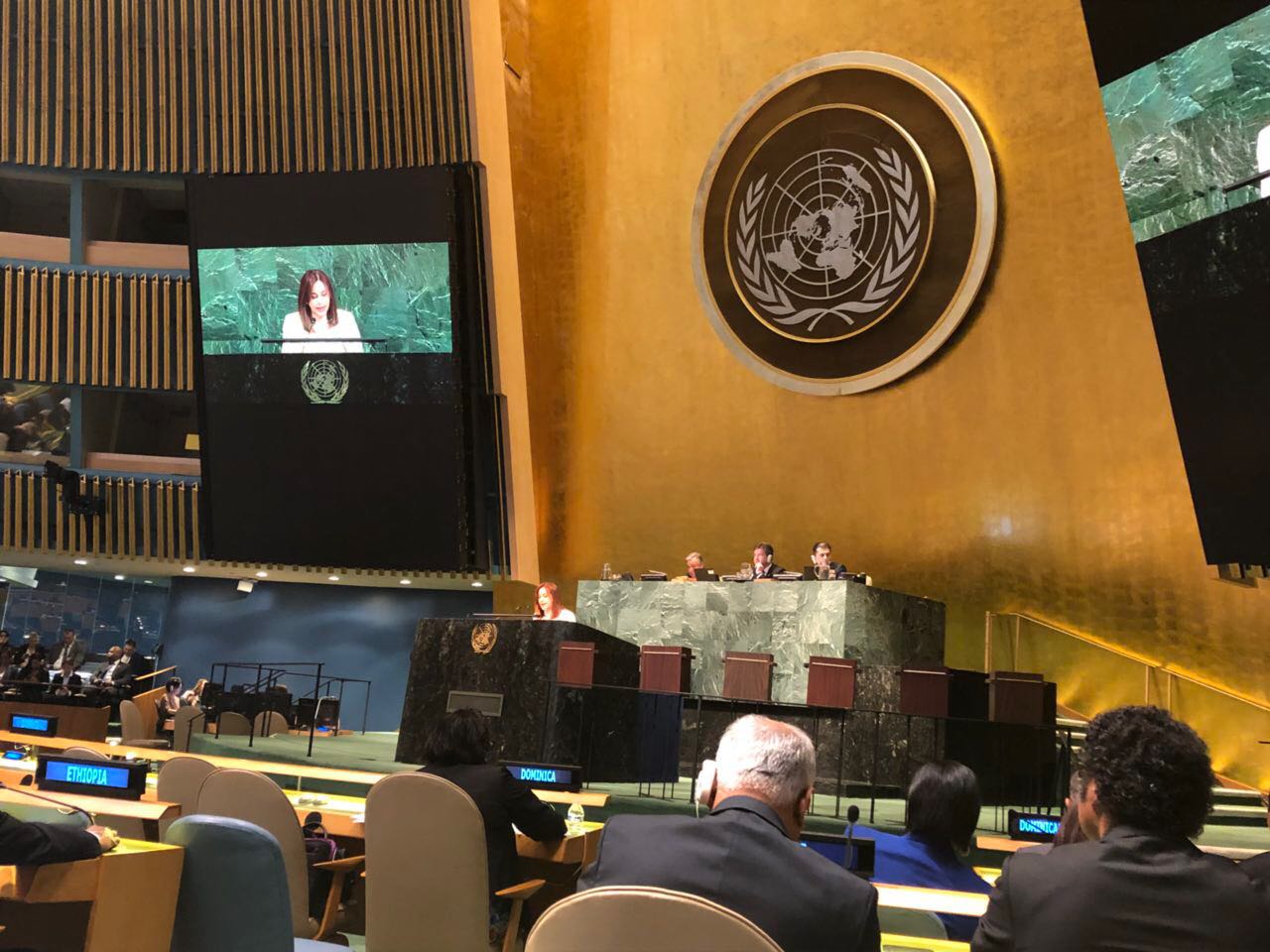 Ecuador muestra en la ONU estrategia de atención prioritaria a ...