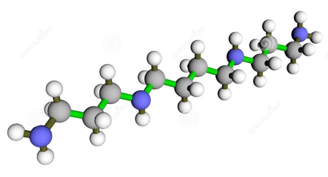 moleculas