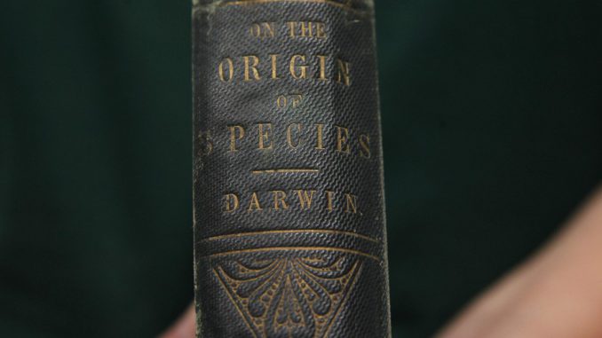 darwin