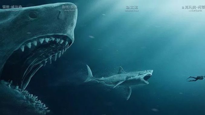 meg