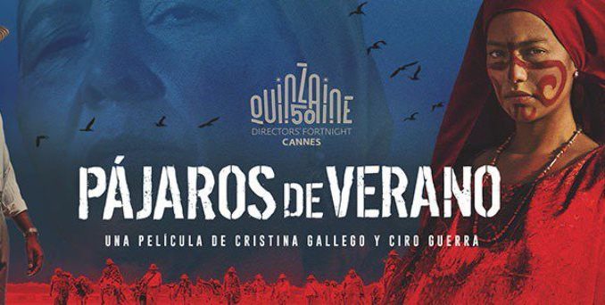 pajaros de verano