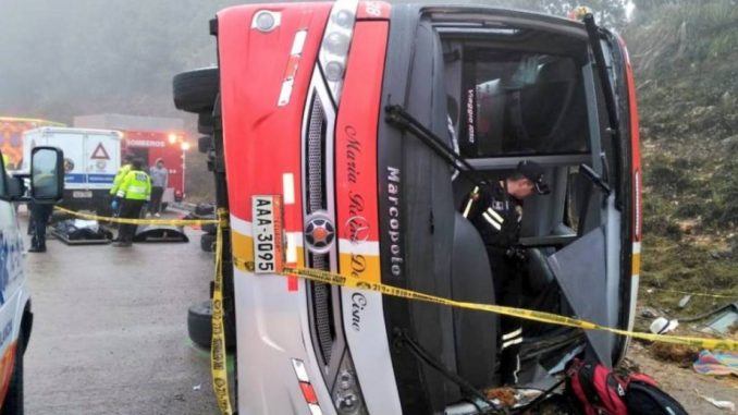 accidente cisne