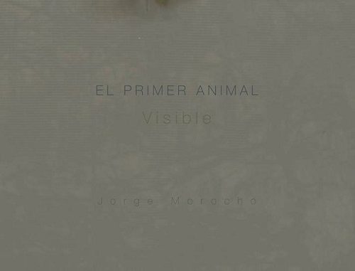 el primer animal visible
