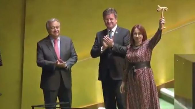 maria fernanda espinosa
