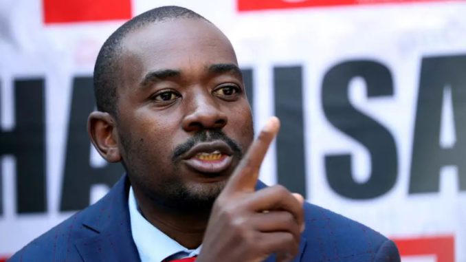 chamisa