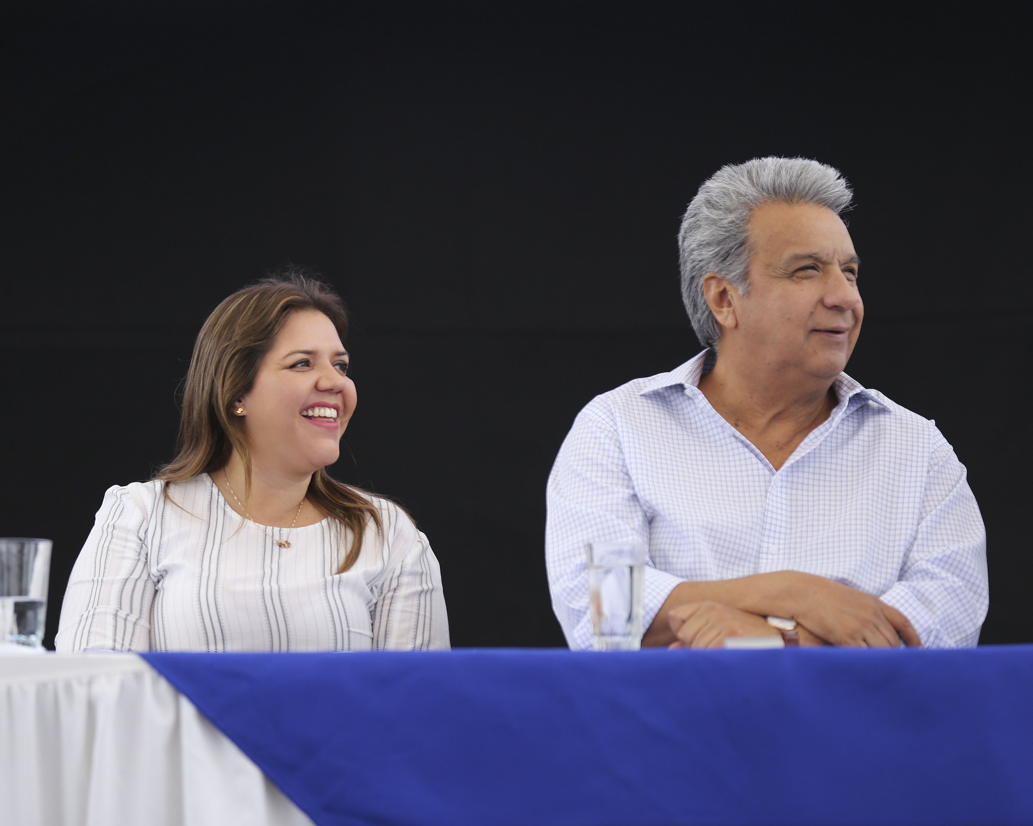 vicuña moreno